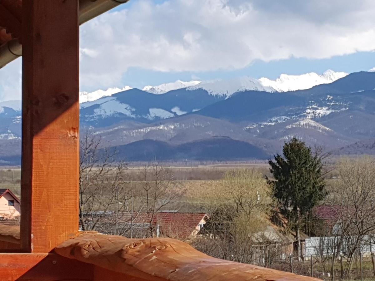 Pensiunea Leia Transfagarasan Cîrţişoara Εξωτερικό φωτογραφία