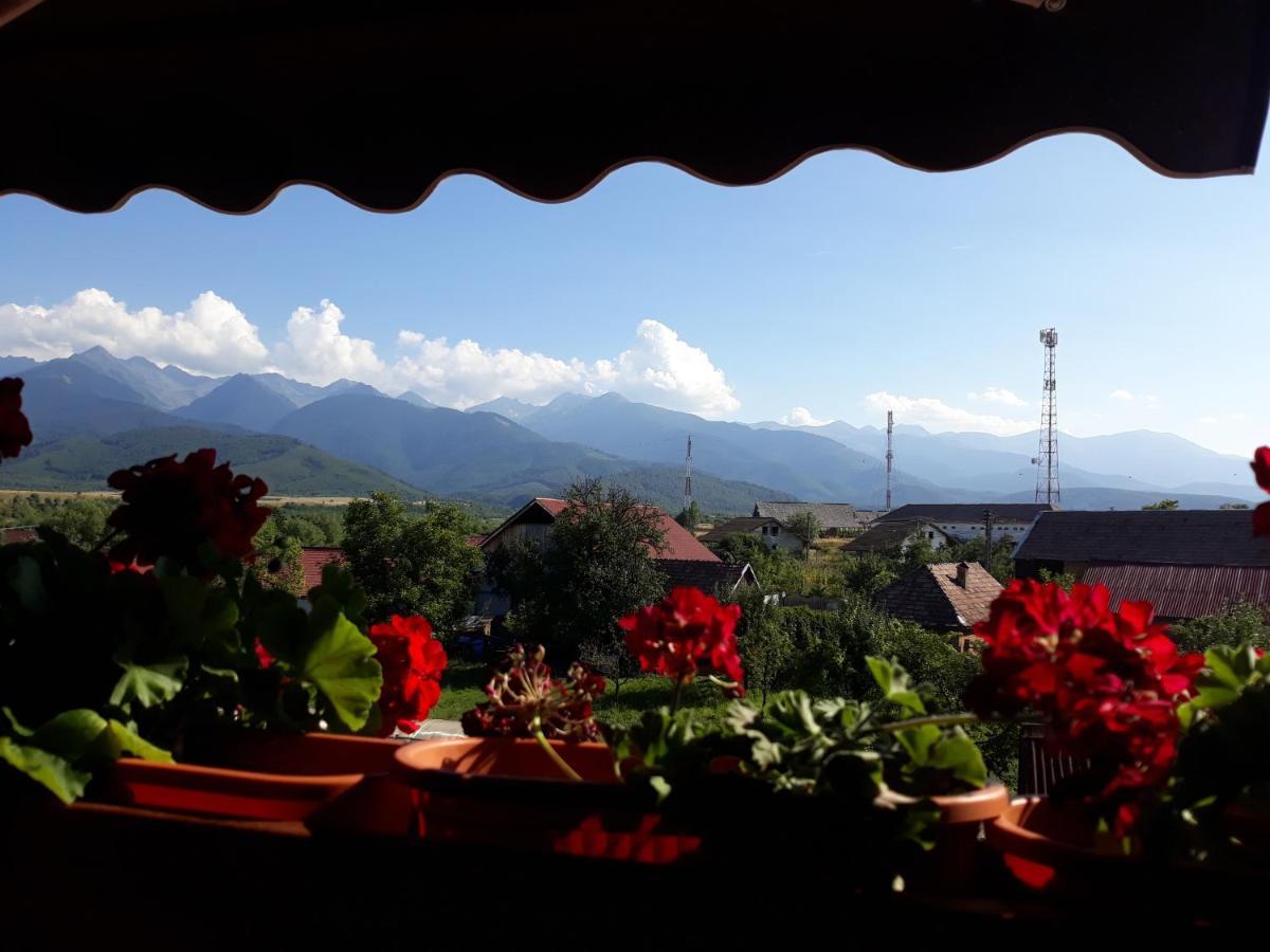 Pensiunea Leia Transfagarasan Cîrţişoara Εξωτερικό φωτογραφία