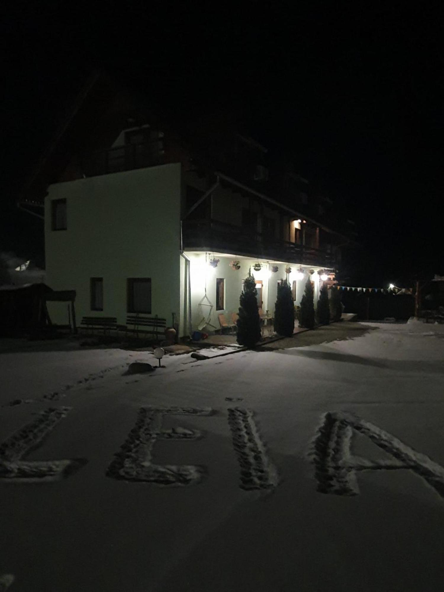 Pensiunea Leia Transfagarasan Cîrţişoara Εξωτερικό φωτογραφία